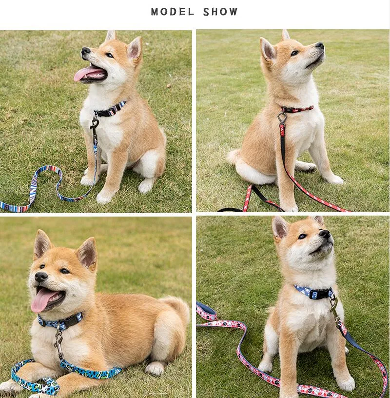 Floral Heat Transfer Pet Dog Collar