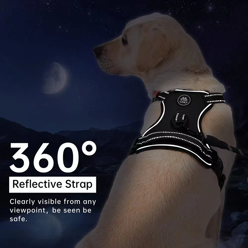 Dog Harness Detail 7