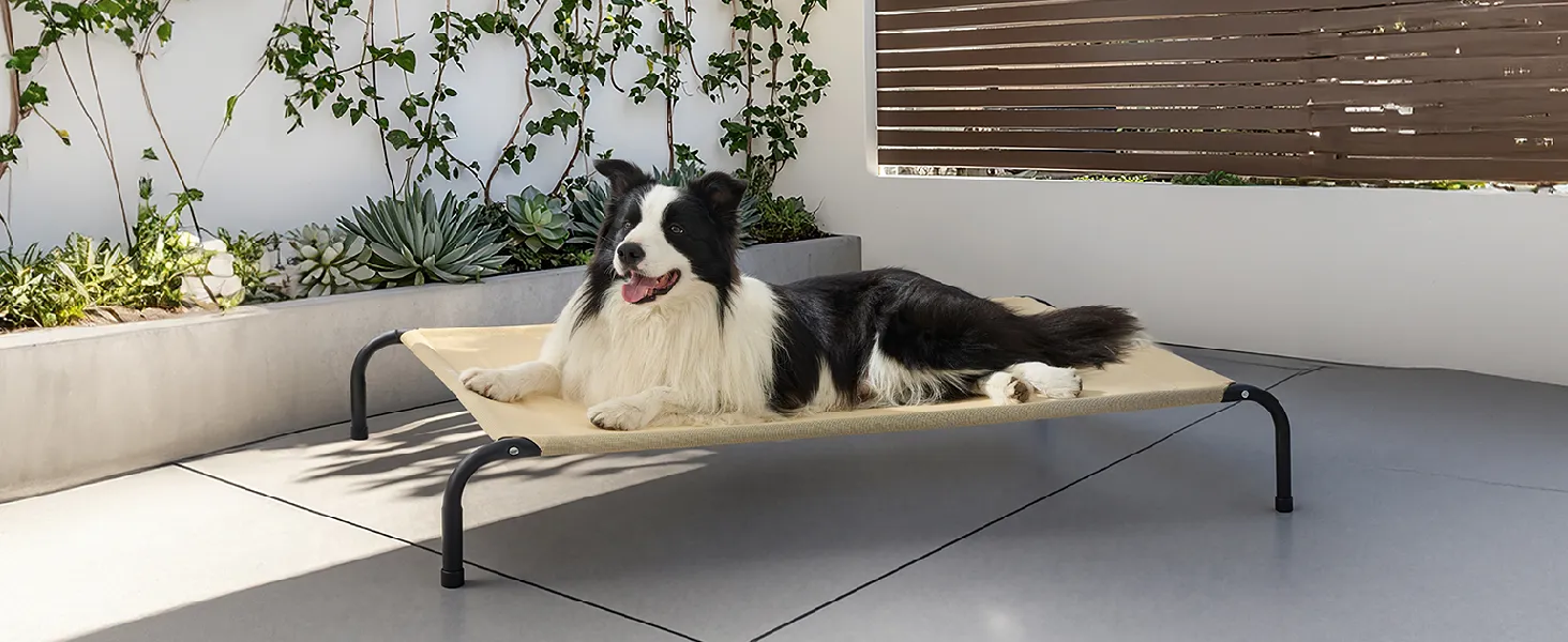 Elevated Dog Bed 4