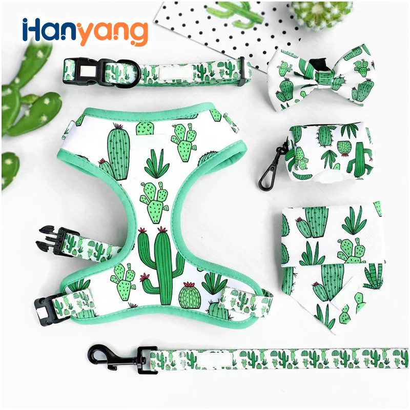 Hanyang Harness Pet Supply Manufacturrer Custom Made Products Customized Guangdong Dog Neoprene Collar Leash Poop Bag Holder Sets