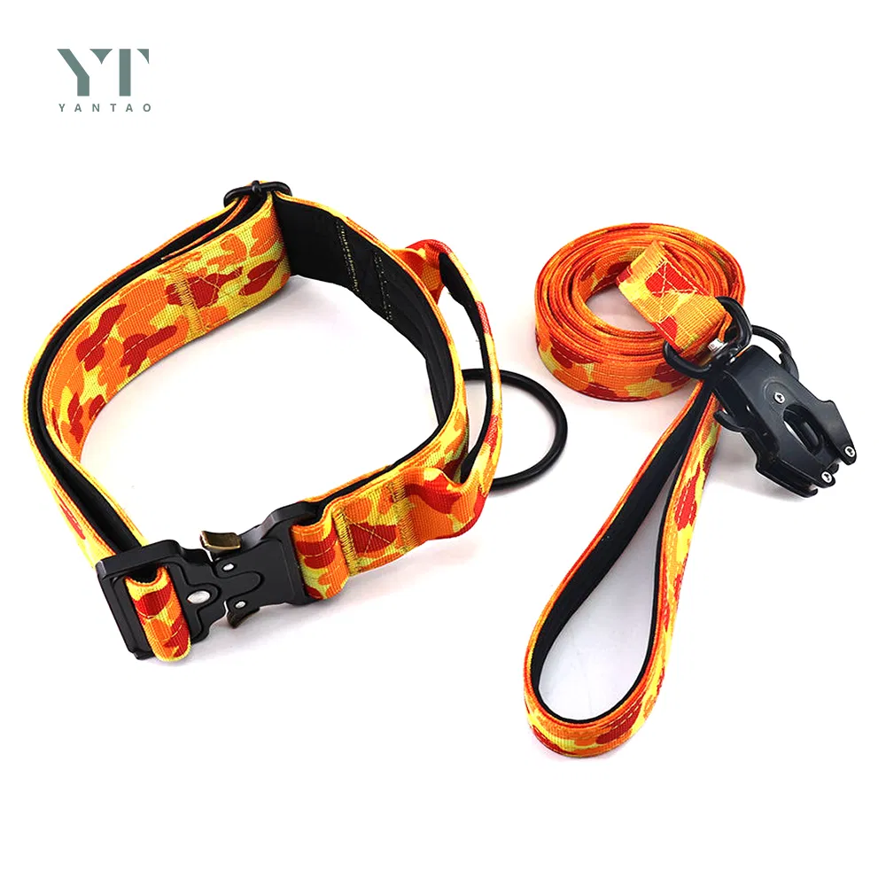 Hot Selling Pet Products Personalized Camouflage Tactical Dog Training Leash and Collar New Fashion Nylon Pet Collar for Small Medium Large Dogs