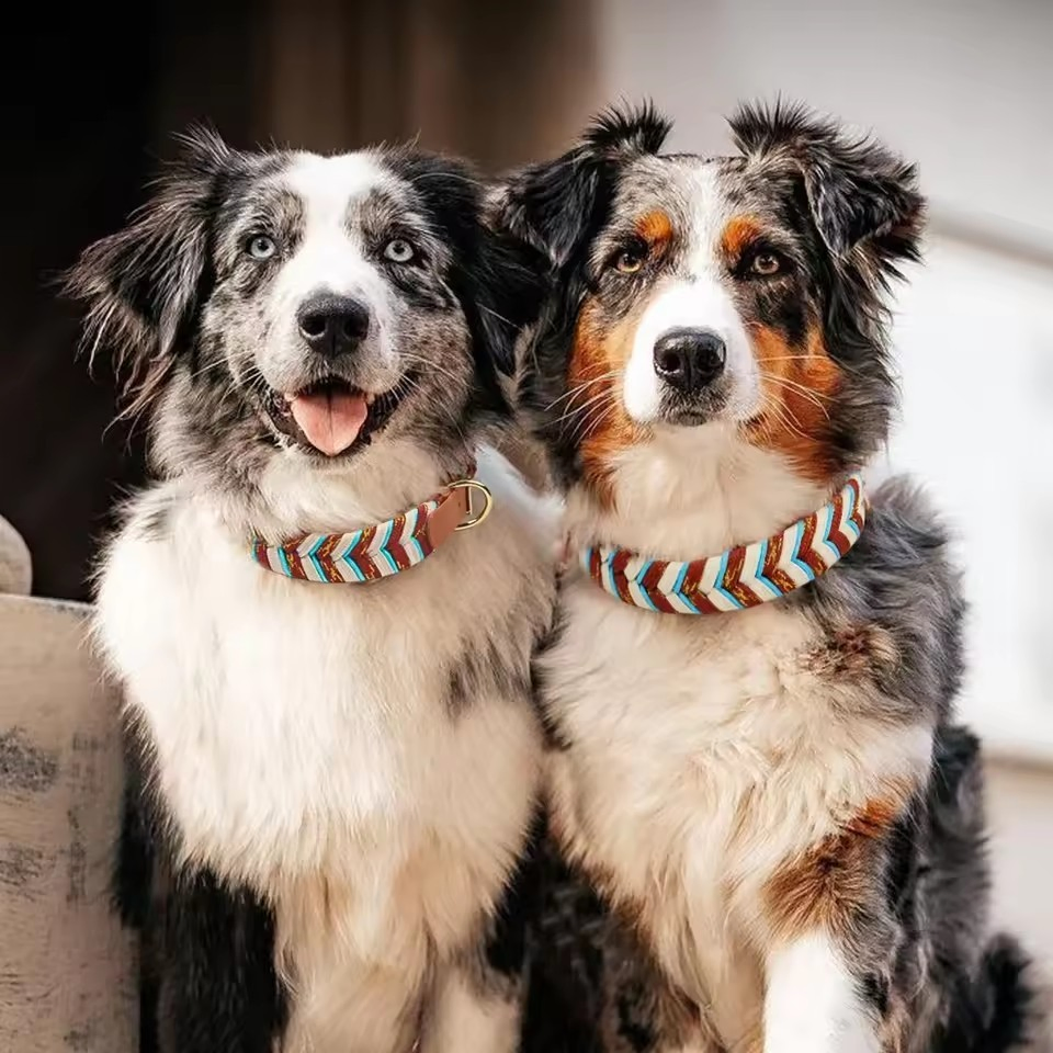 Premium Designer Durable Custom Logo Luxury Adjustable PVC Waterproof Pet Cat Dog Collar Charms Paracord Dog Collar