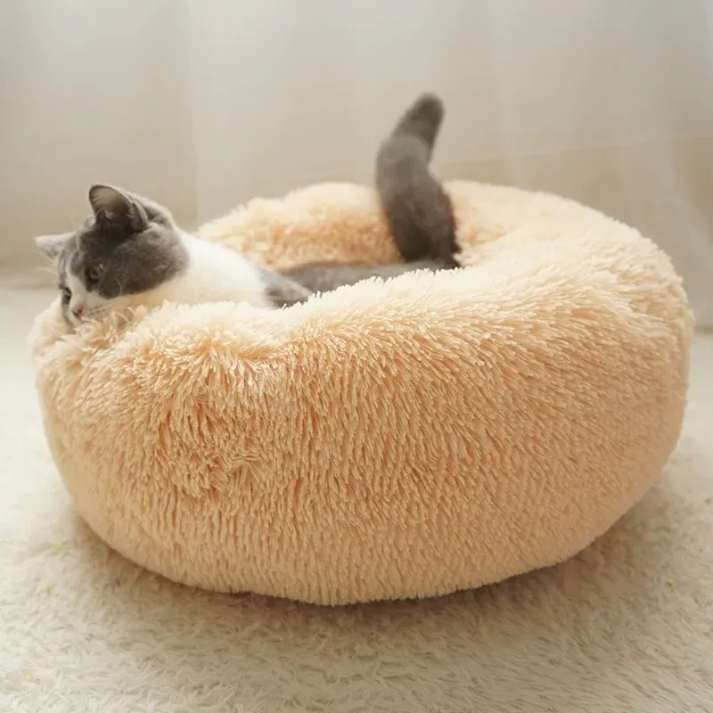 Pet Bed 8