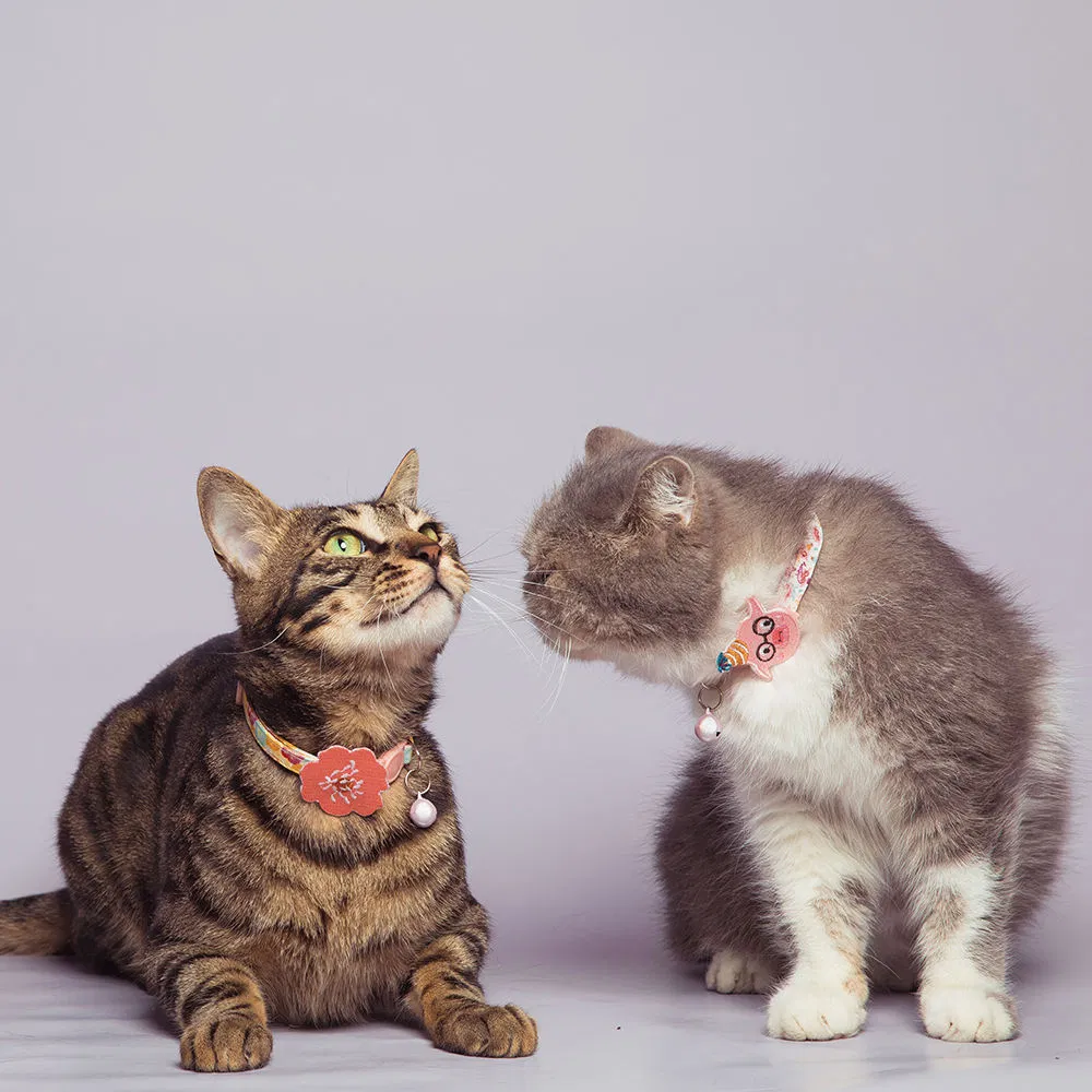 Hot Sale Pattern No Pull Pet Collar Soft Durable Print Cat Collar