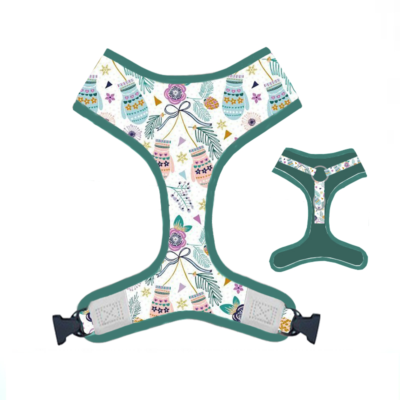 2023 Hot Sale Puppy Macaron Series Pet Harness and Collar