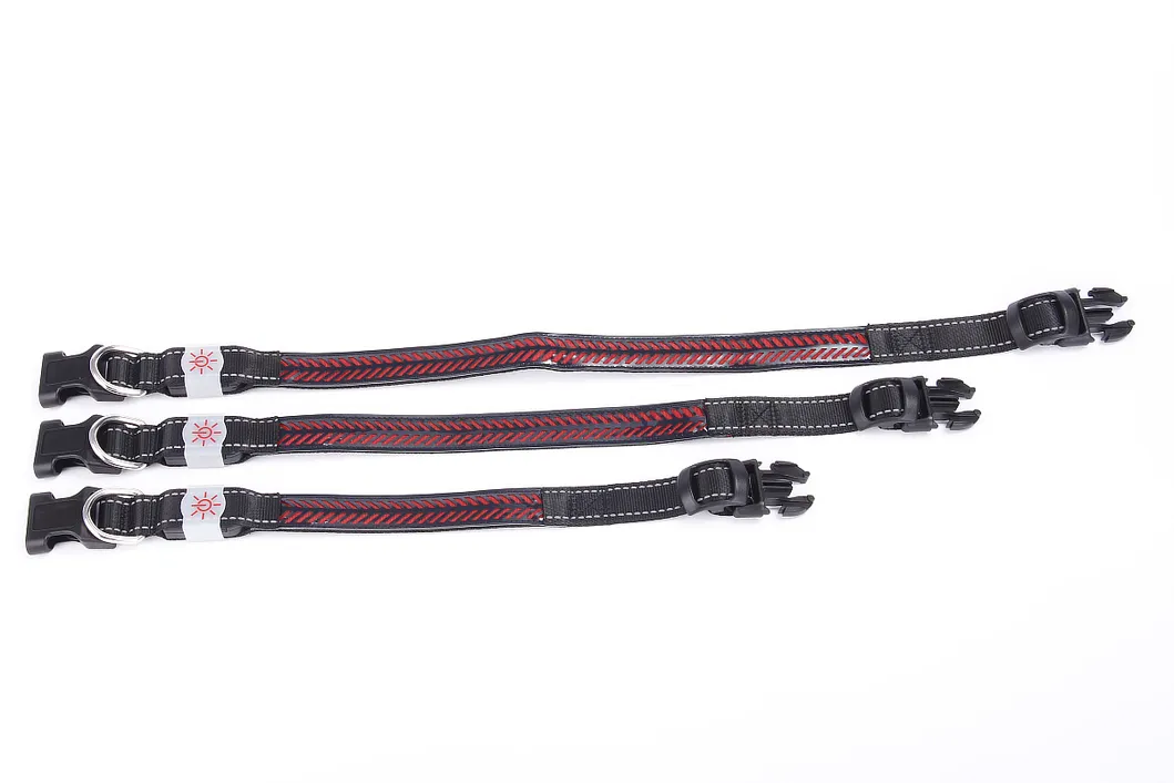 Outdoor Dog Glow Warning