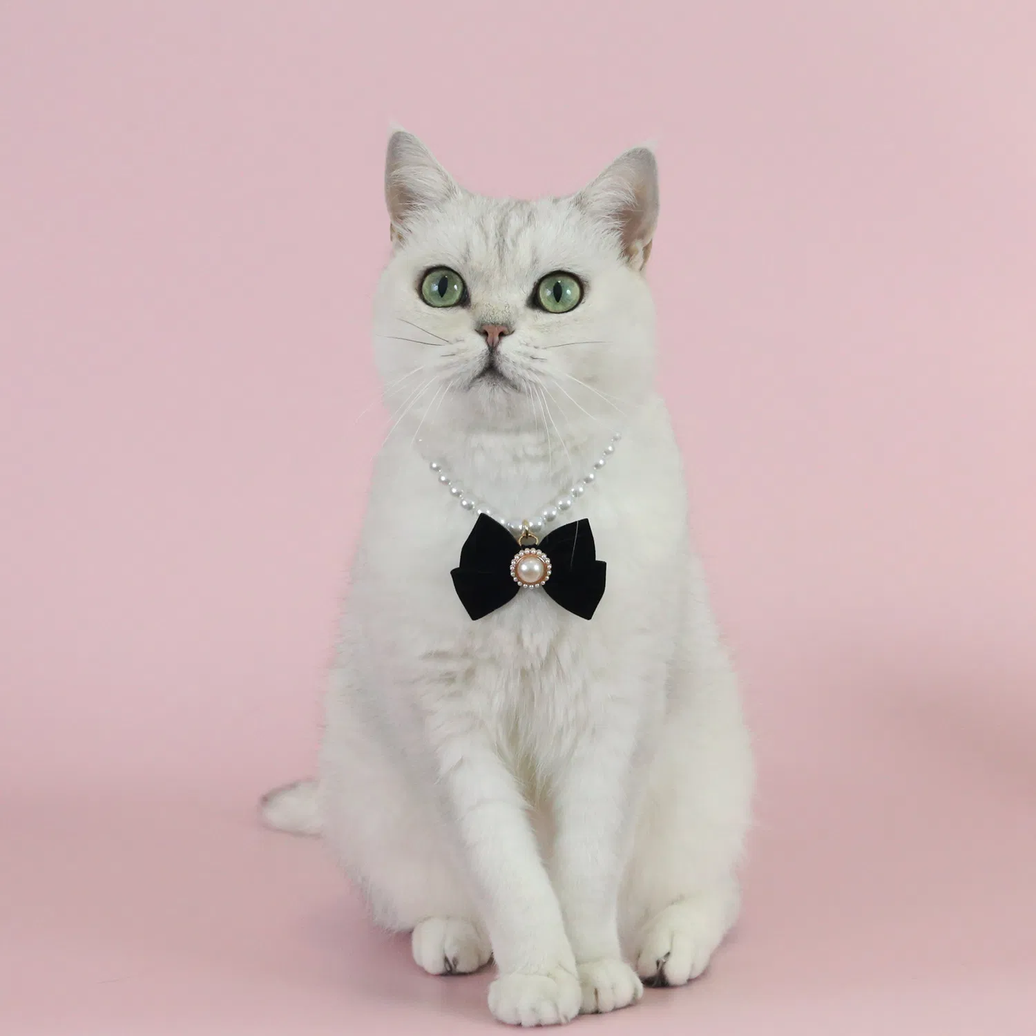 Pearl Velvet Bow Pet Collar 2