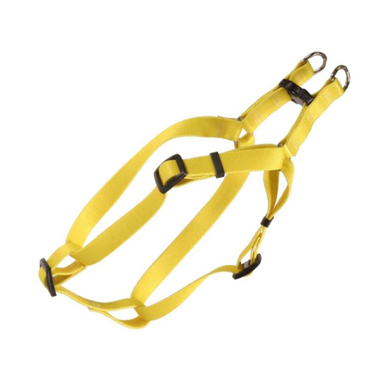 Customized Rainbow Pet Leash Dog Harness