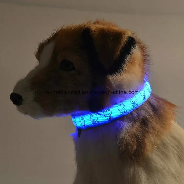 LED Dog Collar View 4