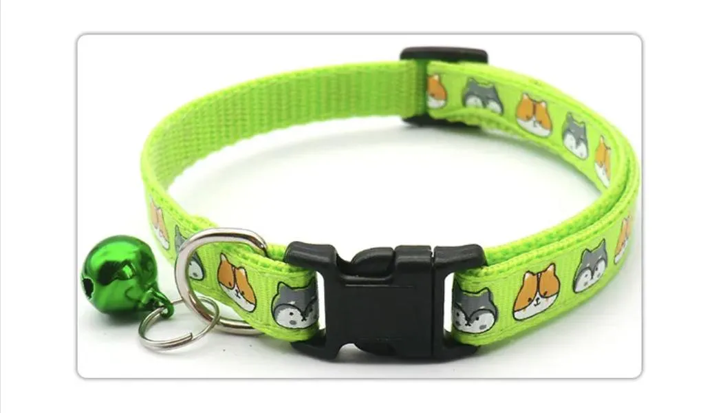 Pet Collar Group 2