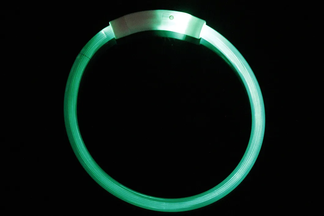 LED Luminous Collar 2