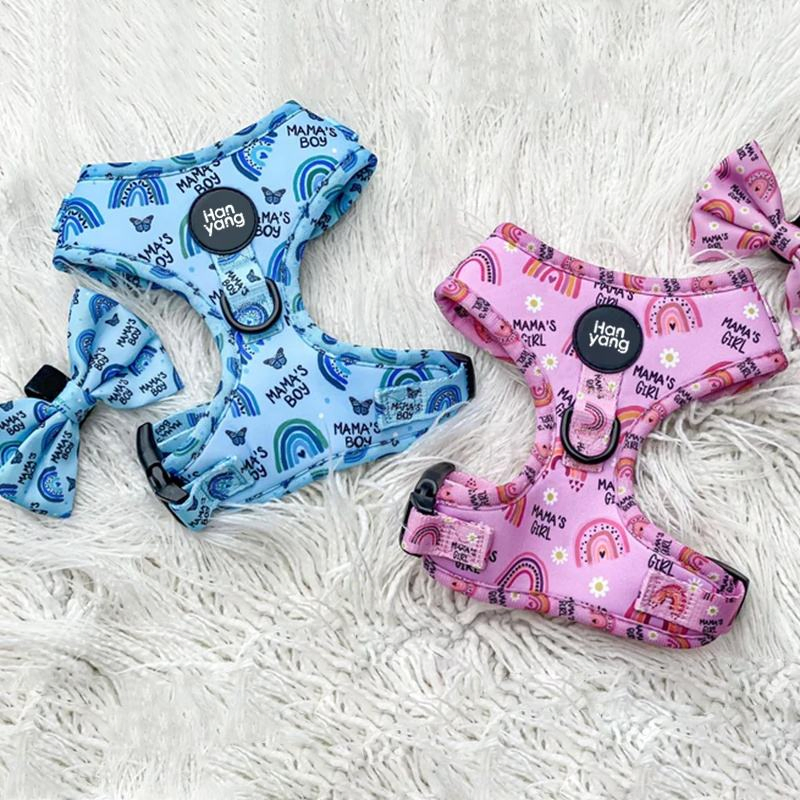 OEM Manufacturers Personalized Soft Padded Adjustable Designer Wholesale Pet Dog Harness and Leash Set Custom Dog Harness