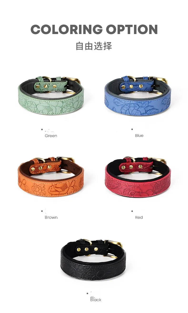 Dog Collar Floral Pattern
