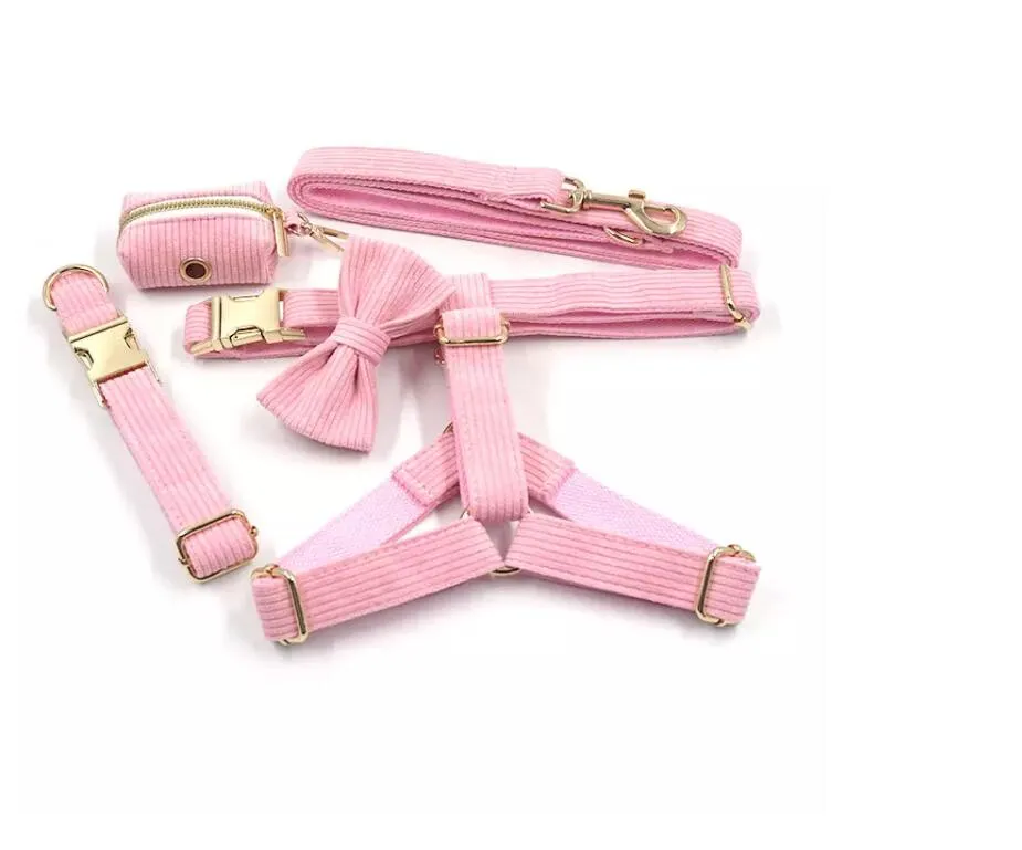 Dog Collar Collection 2