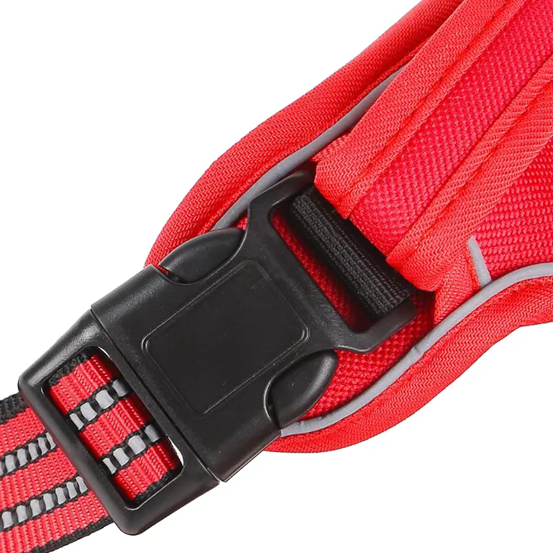 Rainbow Dog Harness Variety 1