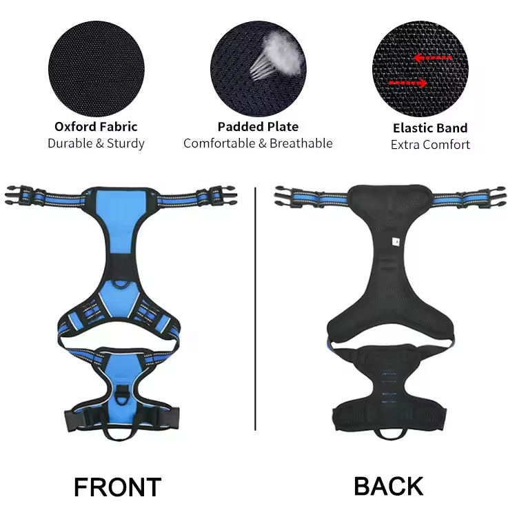 Reflective Chic - Style Minimalist - Design Vintage - Look Pet Leash Set