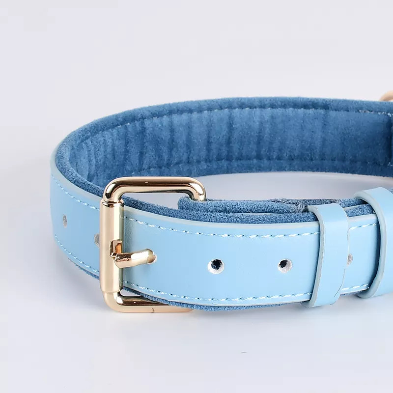 New Designer Personalized Eco China Manufacturer Factory Ribbon Lanyards PU Vegan Leather Pet Dog Collar Leash