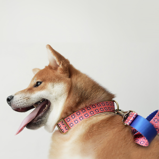 New Design Orange Tulip Adjustable Pet Dog Collar
