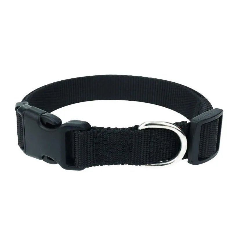 Dog Training Collar