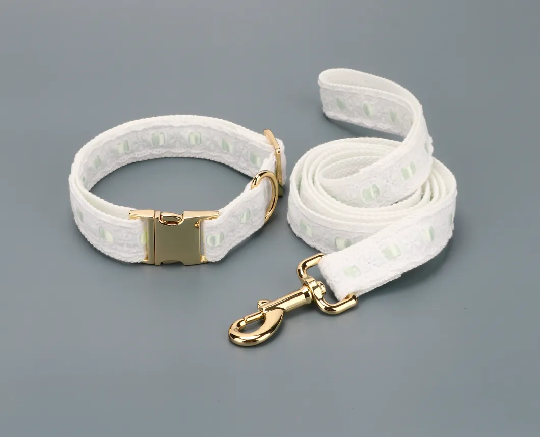 Lace Dog Collar Detail 1