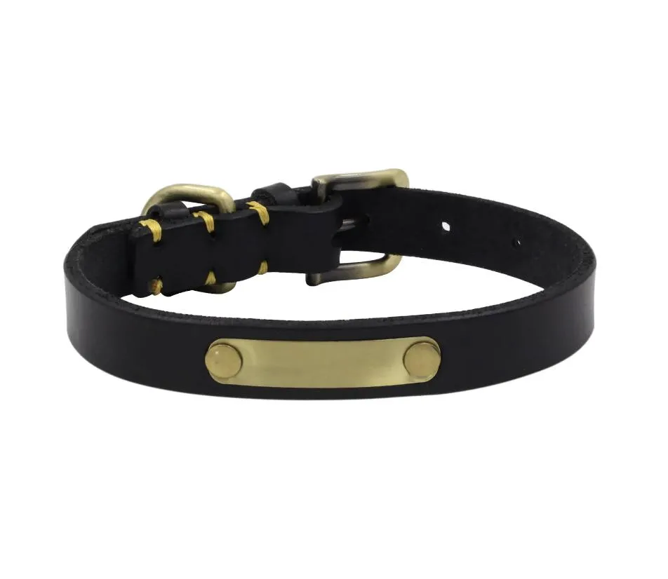 Leather Pet Collar 2