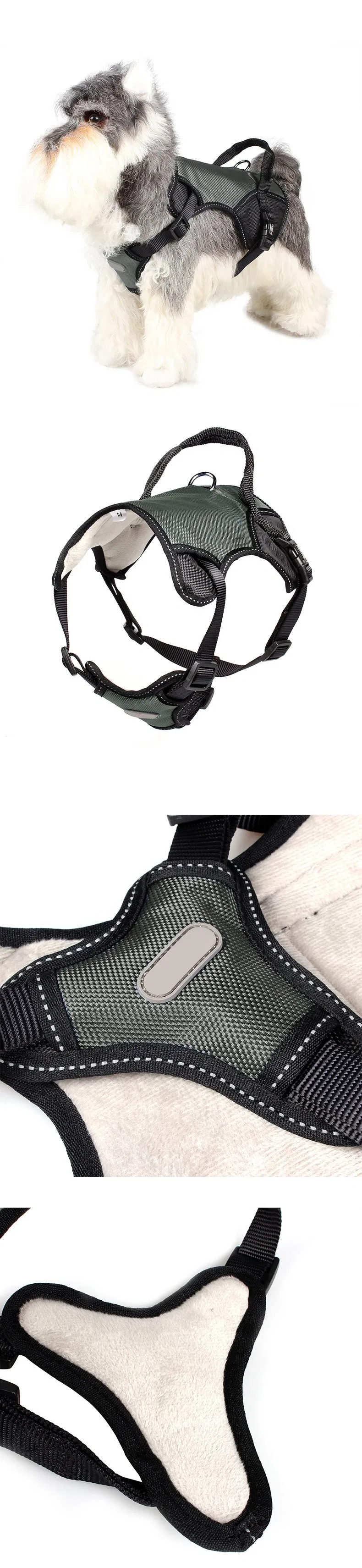 Pet Harness Display 4