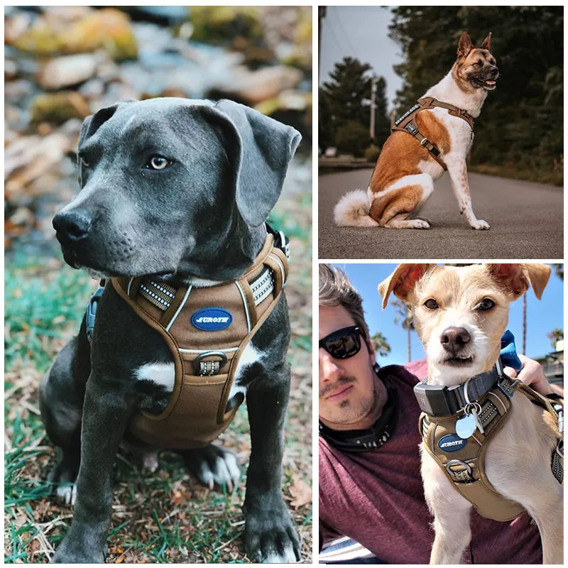 Durable Dog Harness