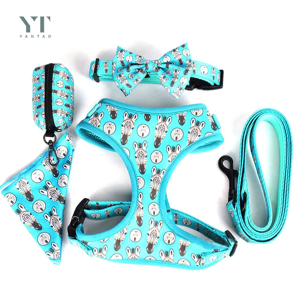Pet Supplies Neoprene No Pull Harnesses Custom Luxury Pet Accessories Collar Custom Printed Pet Harness and Collar with Dog Bandana