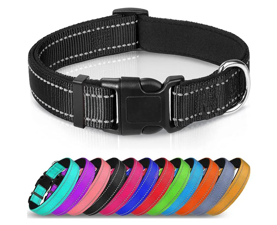 Reflective Dog Collar 4