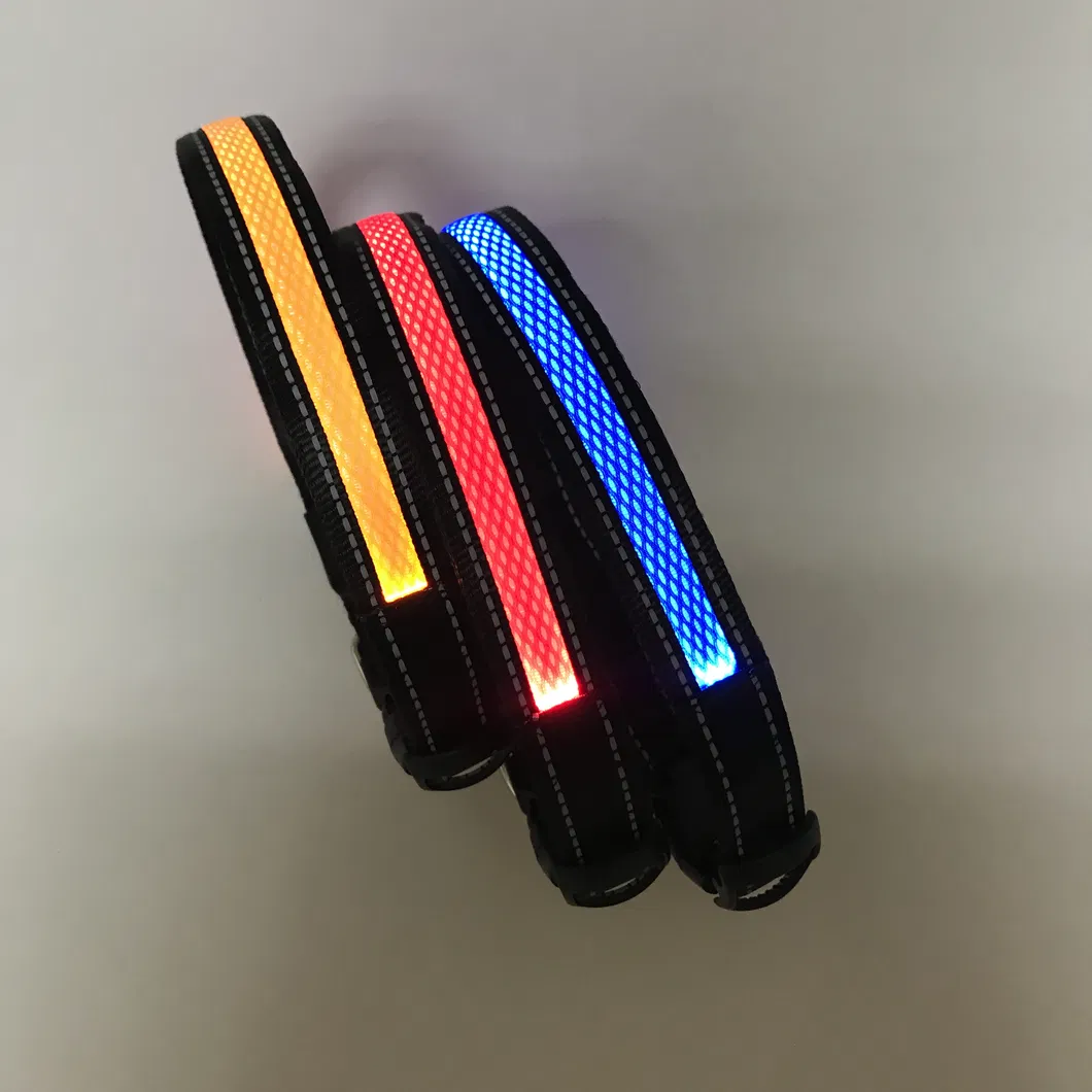 Glowing Cat and Dog Collar