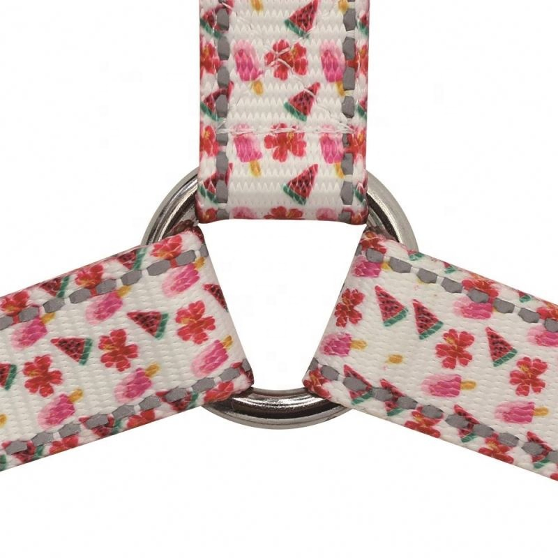 Travel Dog Cool Harness and Leash