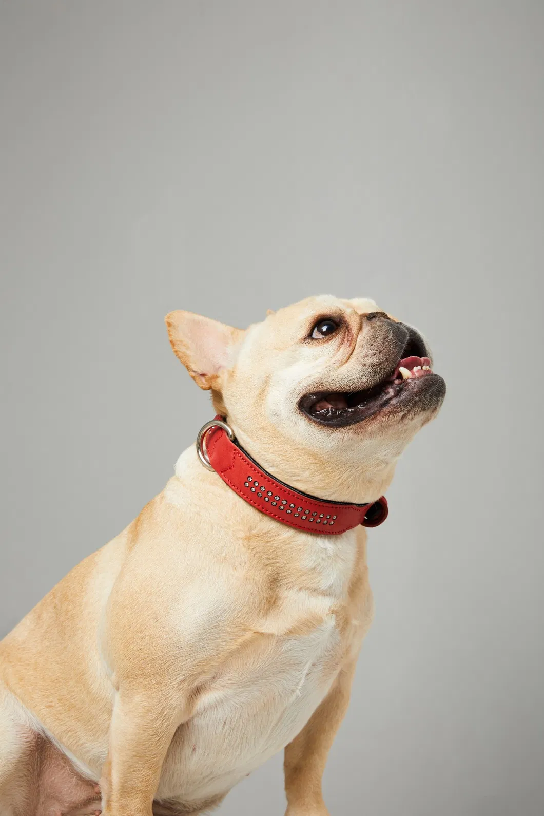 Luxury Soft Leather Pet Dog Collar