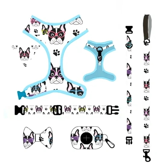 2024 Pet Supplies Wholesale Collars Hot Sale Dog Collar Breathable Mesh Collar