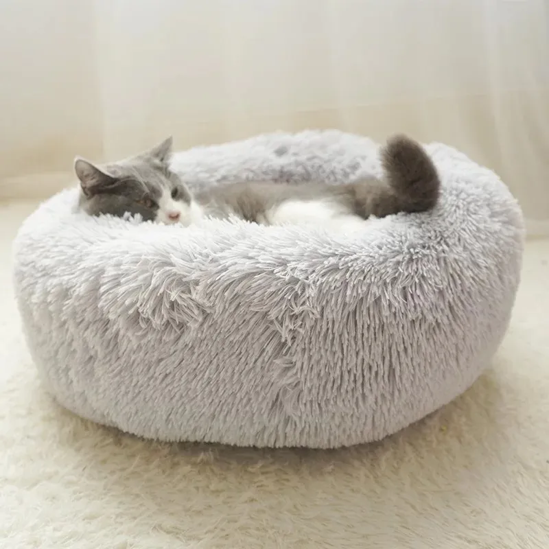 Pet Bed 4