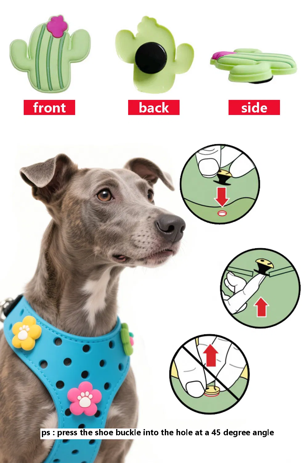 Collar Charms Display