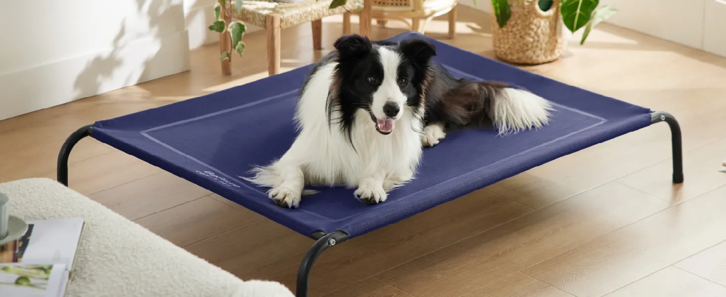 Elevated Dog Bed 5