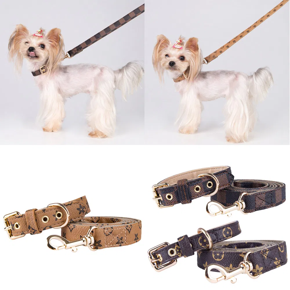 Pet Harness Set 2
