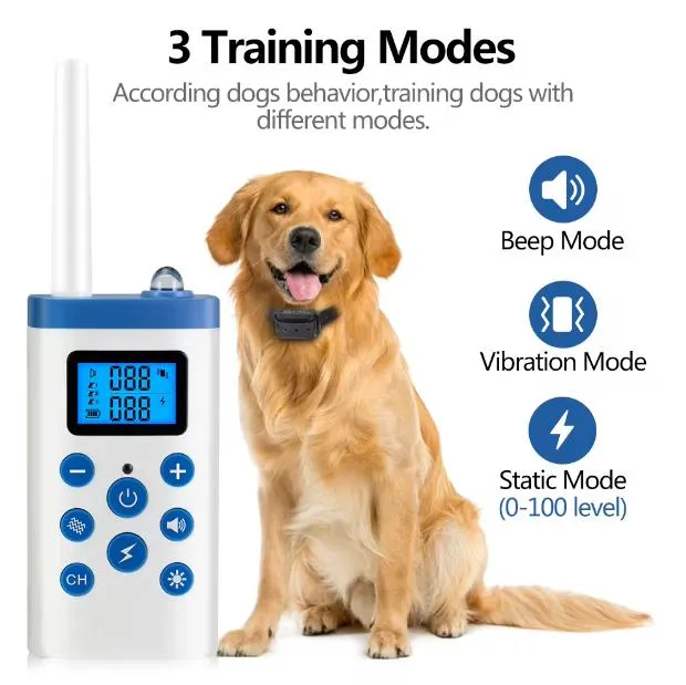 Pet Trainer Detail 5