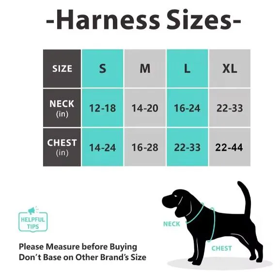 Dog Harness Detail 1