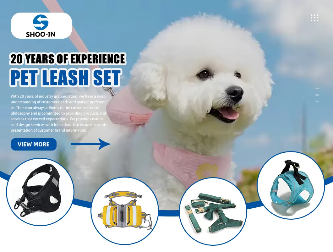 Pet Leash Set Overview