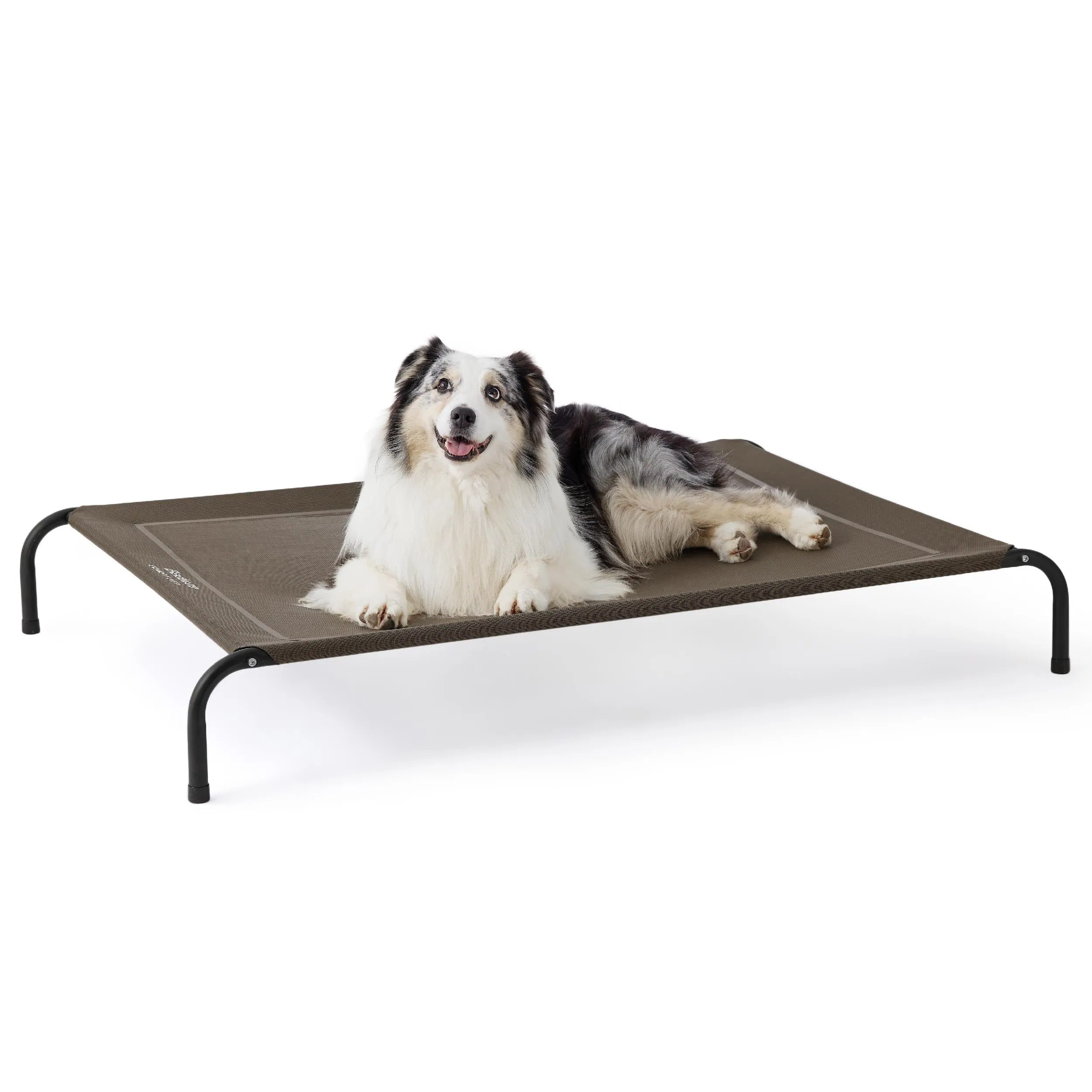 Outdoor Elevated Dog Bed Large Sized Dog, Portable Indoor &amp; Outdoor Cooling Raised Cot Pet Hammock Bed with Skid-Resistant Feet, Frame with Breathable Mesh