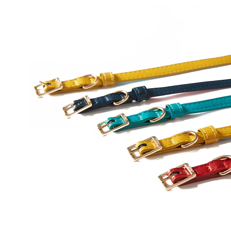 Luxury Pet Collar View