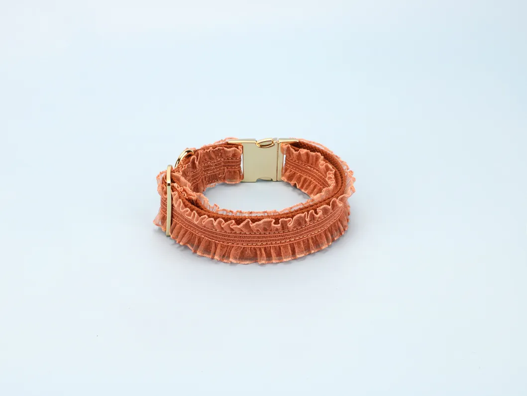 Lace Dog Collar Detail 3