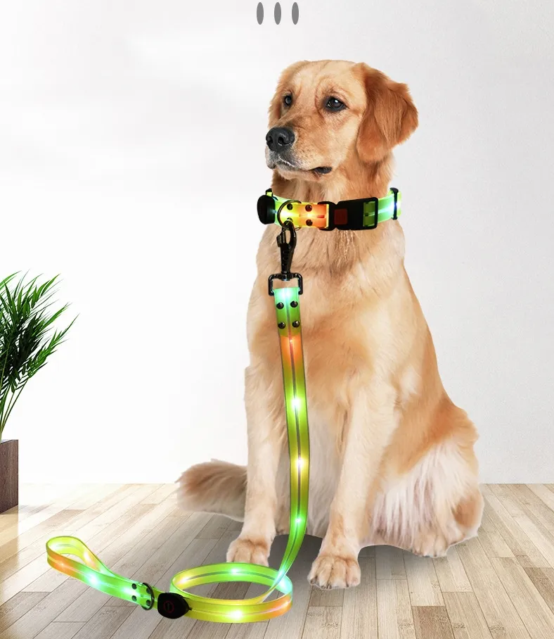 LED Dog Collar 11