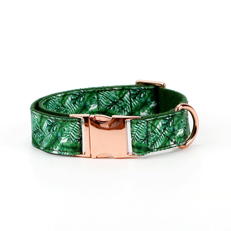 Green Floral or Customized Pattern Leather Logo Come with Lead Pet Collar