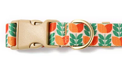 Buckle Detail