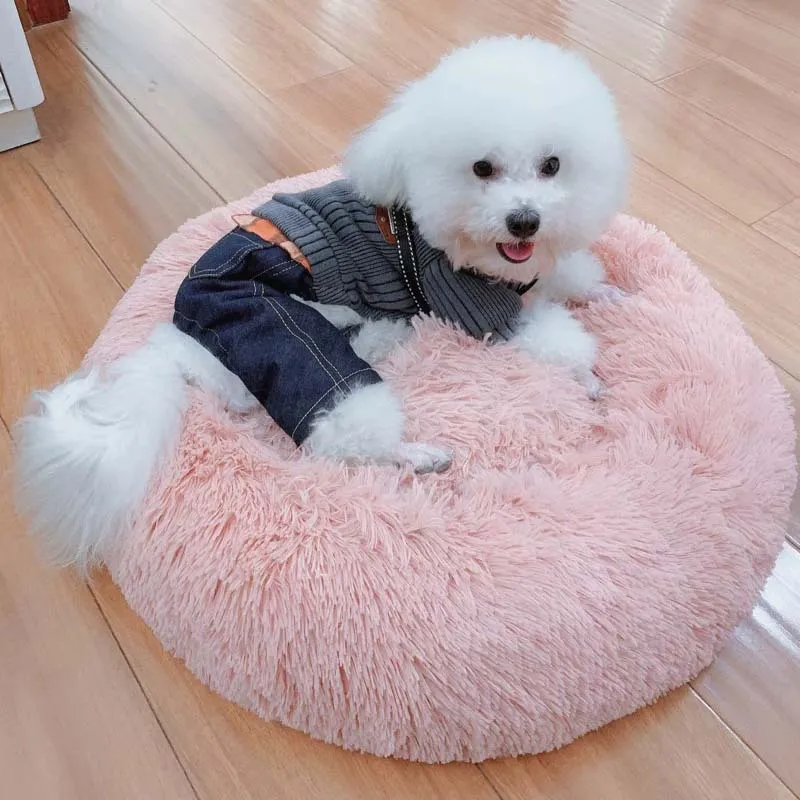 Pet Bed 10
