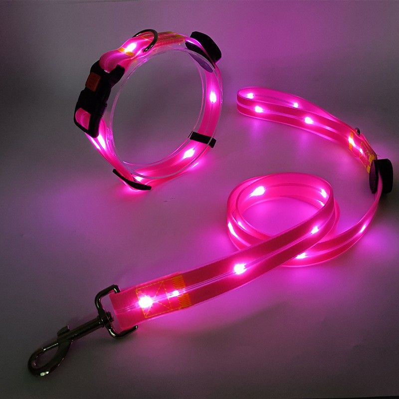 Glow-in-The-Dark LED Dog Collar for Enhanced Night Safety