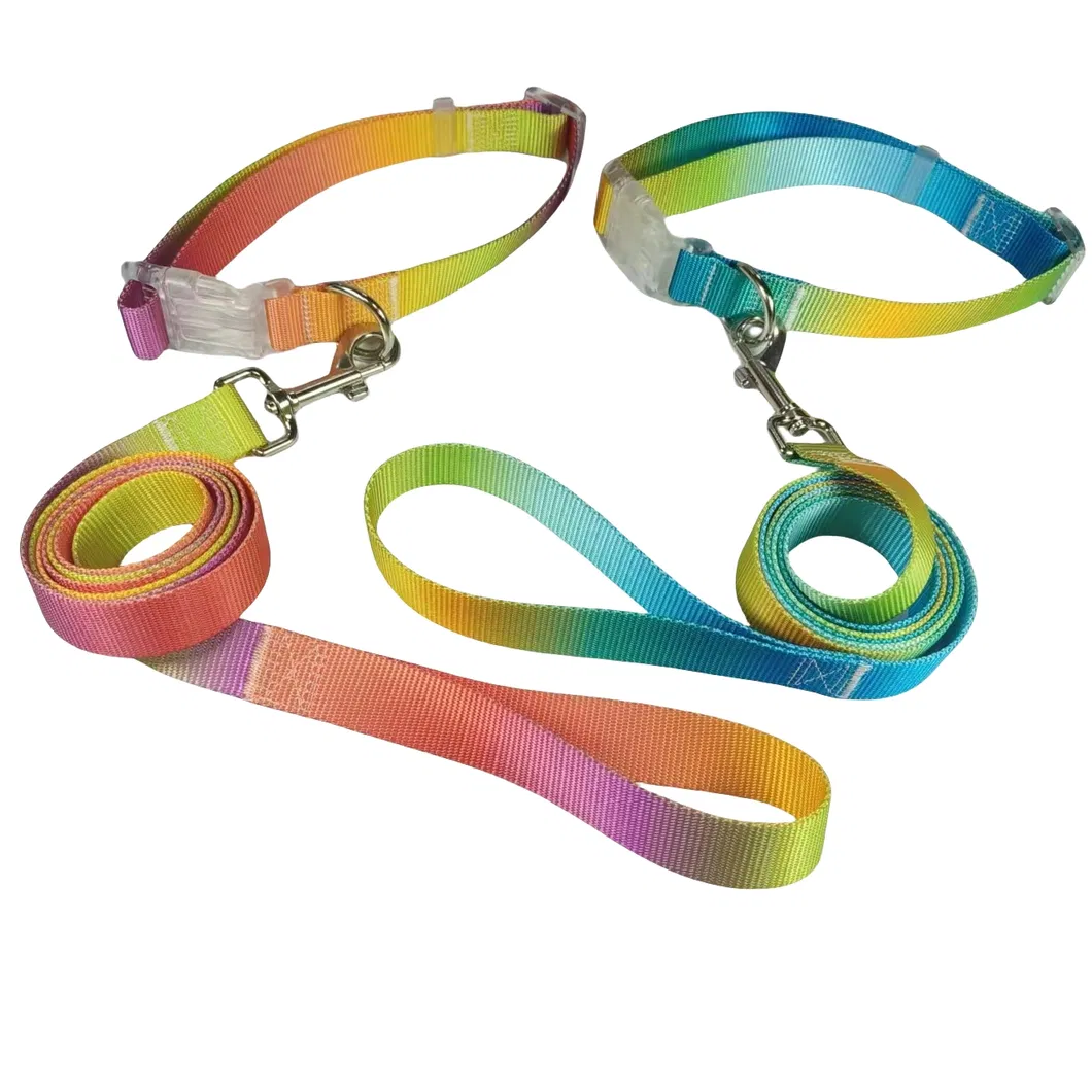 LED Dog Collar Detail 6