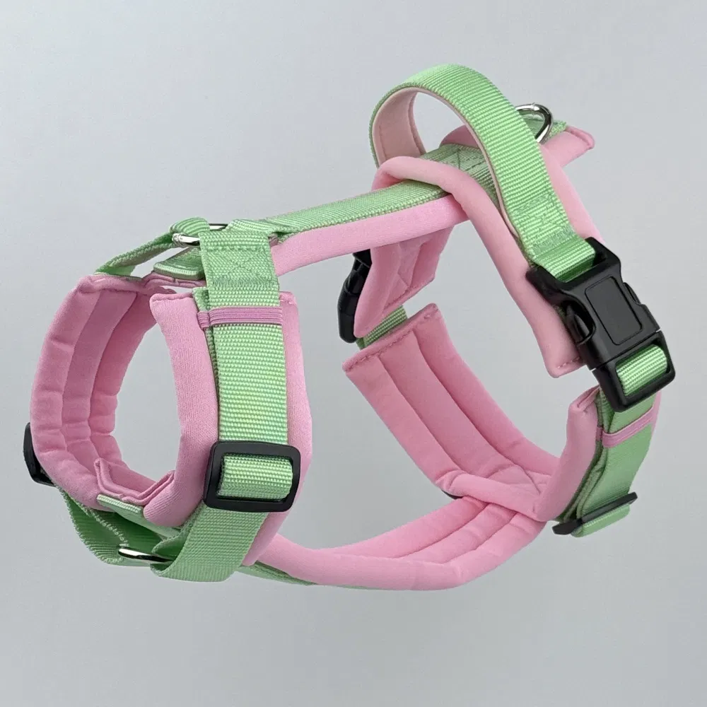 Dog Harness Detail 3